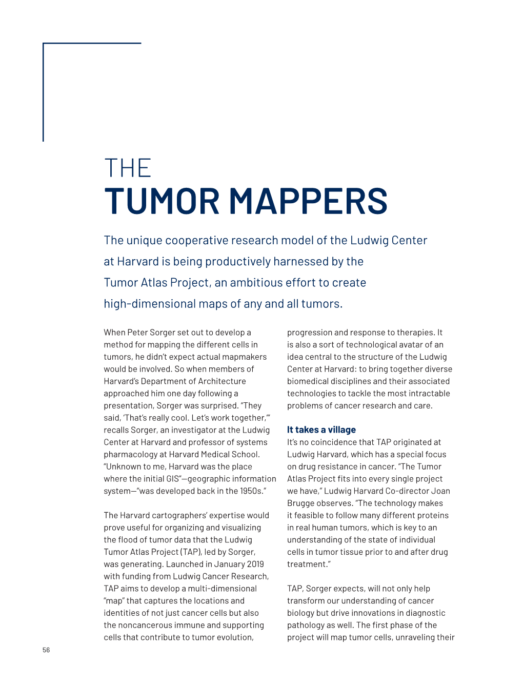 Tumor Mappers