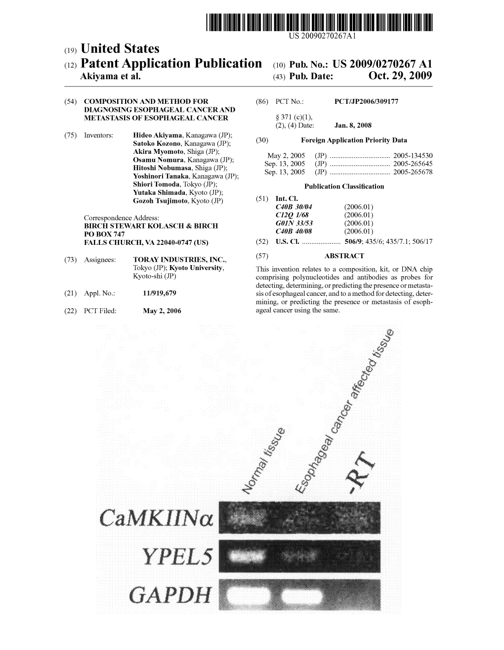 US 2009/0270267 A1 Akiyama Et Al