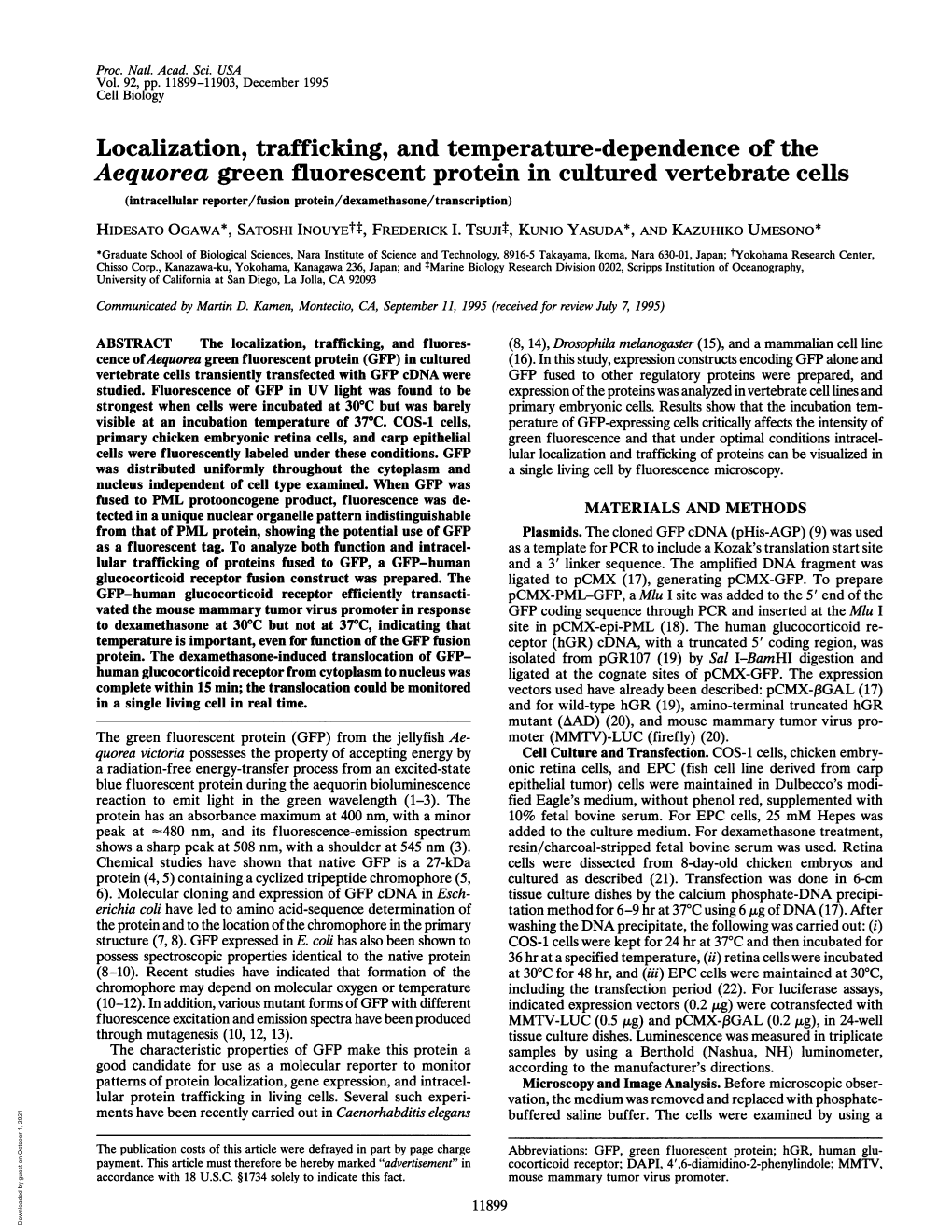 Localization, Trafficking, and Temperature-Dependence of The