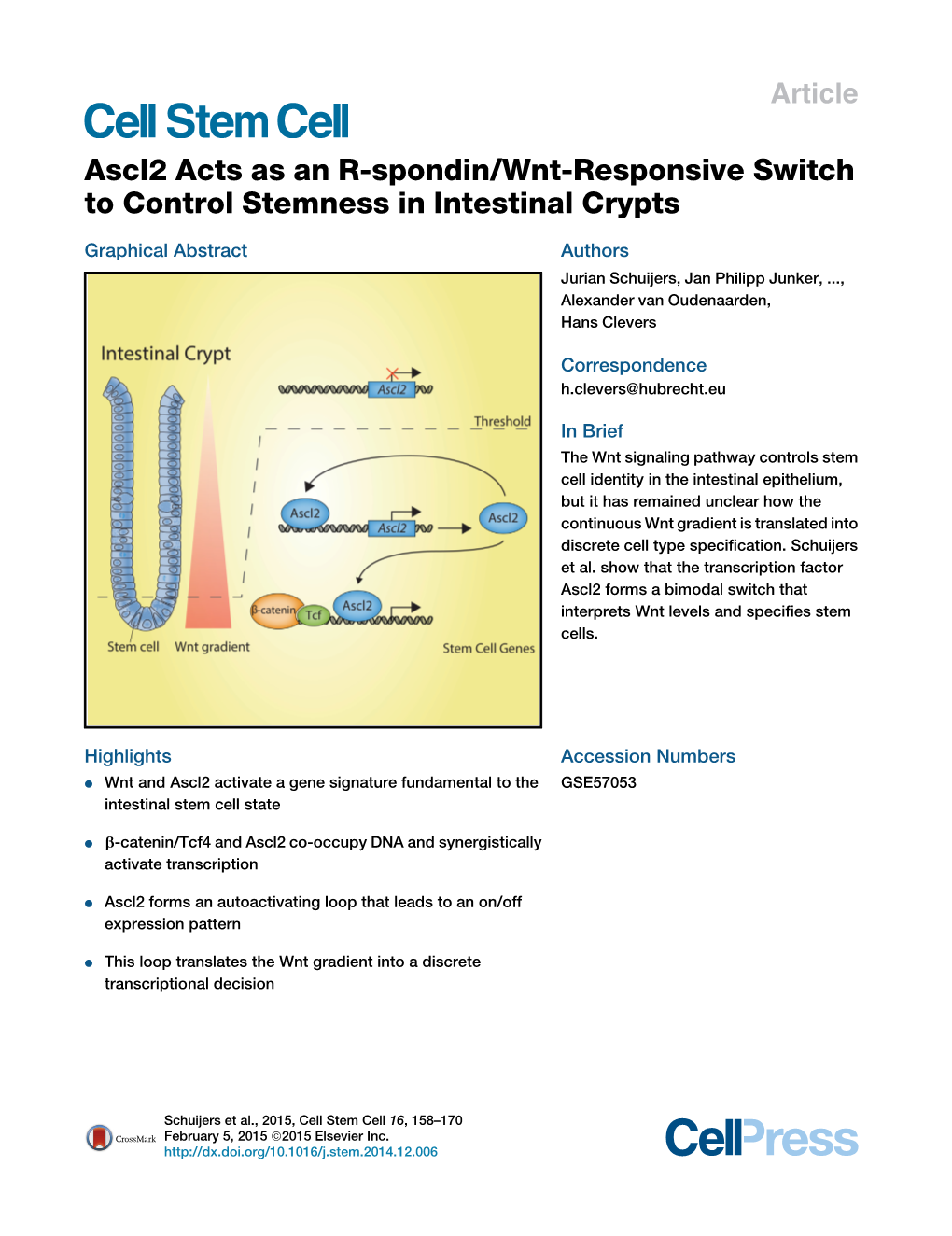 Ascl2 Acts As an R-Spondin/Wnt-Responsive Switch to Control Stemness in Intestinal Crypts