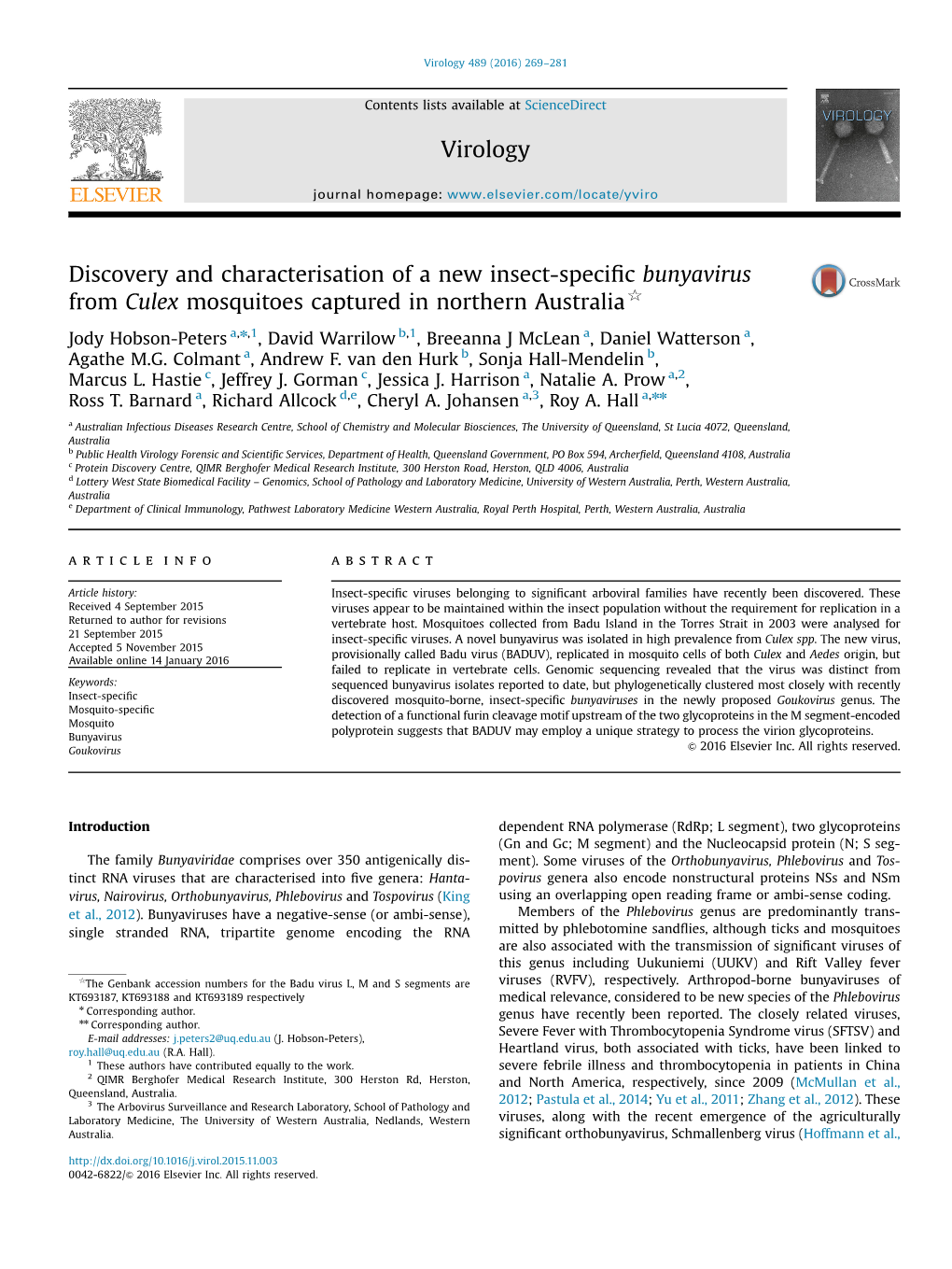 Discovery and Characterisation of a New Insect-Specific Bunyavirus from Culex Mosquitoes Captured in Northern Australia