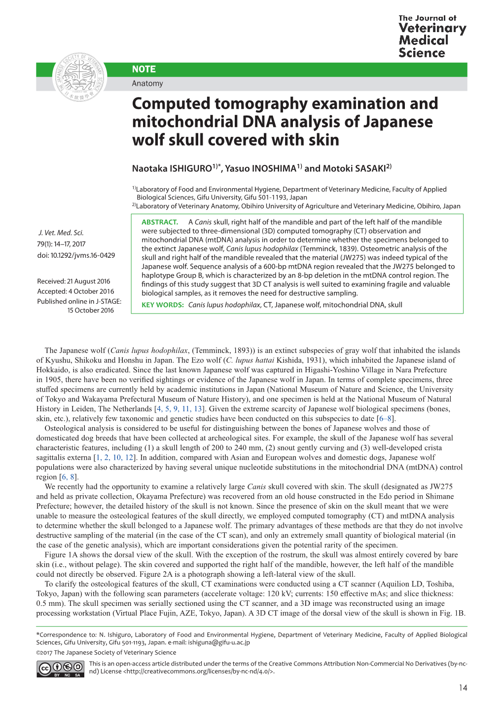 Computed Tomography Examination and Mitochondrial DNA Analysis of Japanese Wolf Skull Covered with Skin