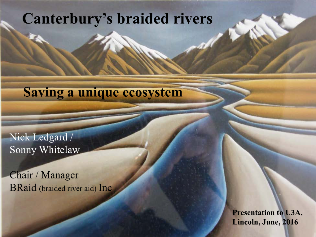 Braided River Birds – Most Obvious Ecosystem Component