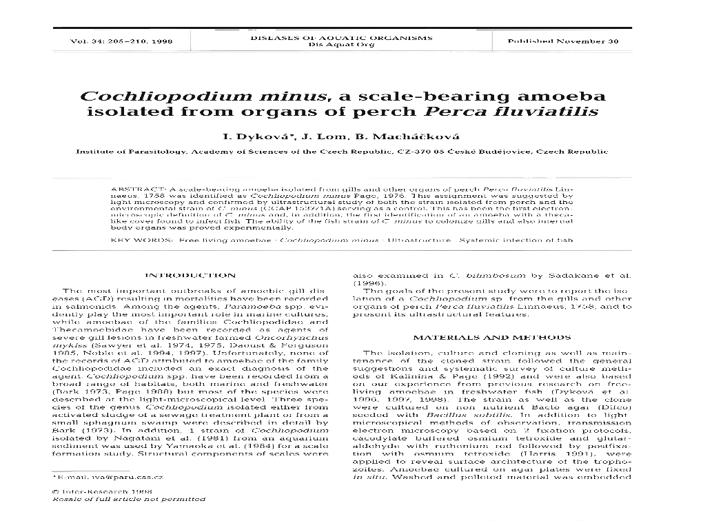 Cochliopodium Minus, a Scale-Bearing Amoeba Isolated from Organs of Perch Perca Fluviatilis