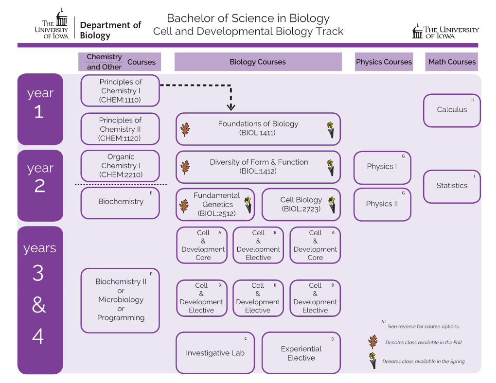 Cell and Developmental Biology Track