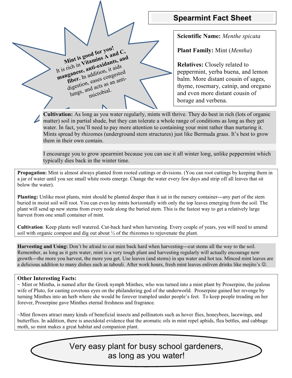 Very Easy Plant for Busy School Gardeners, As Long As You Water! Mint and More Outline