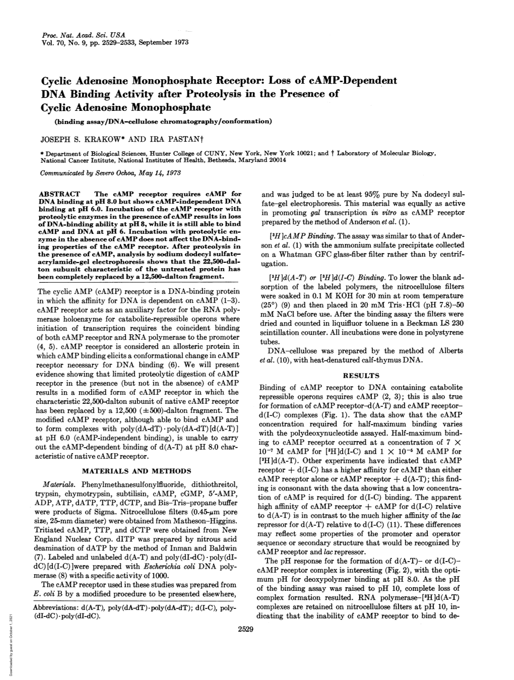 Cyclic Adenosine Monophosphate