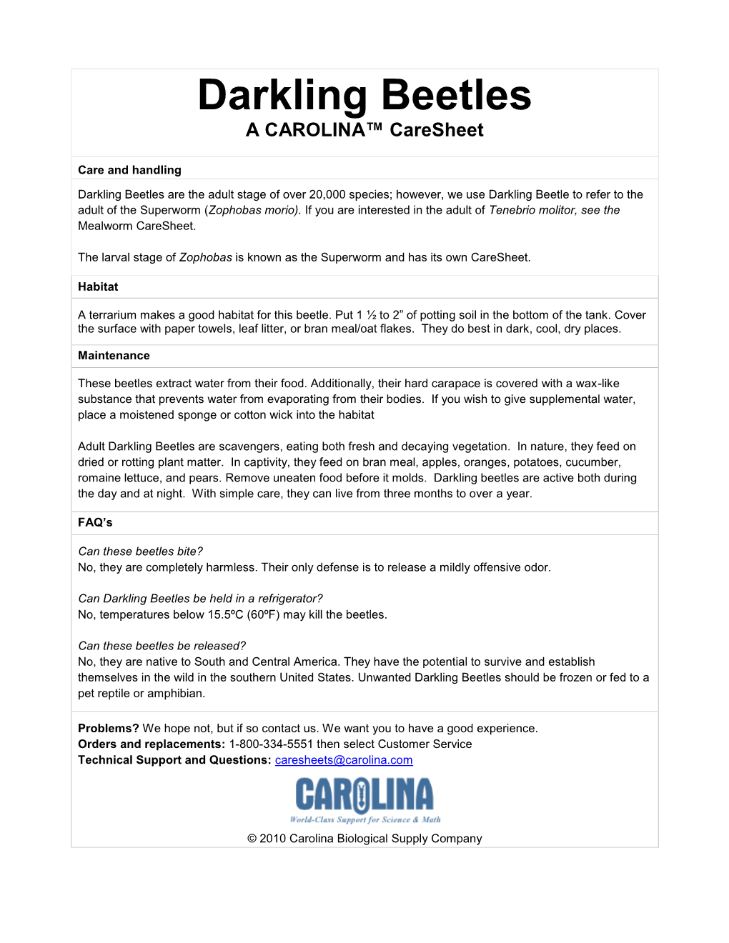 Darkling Beetles a CAROLINA™ Caresheet