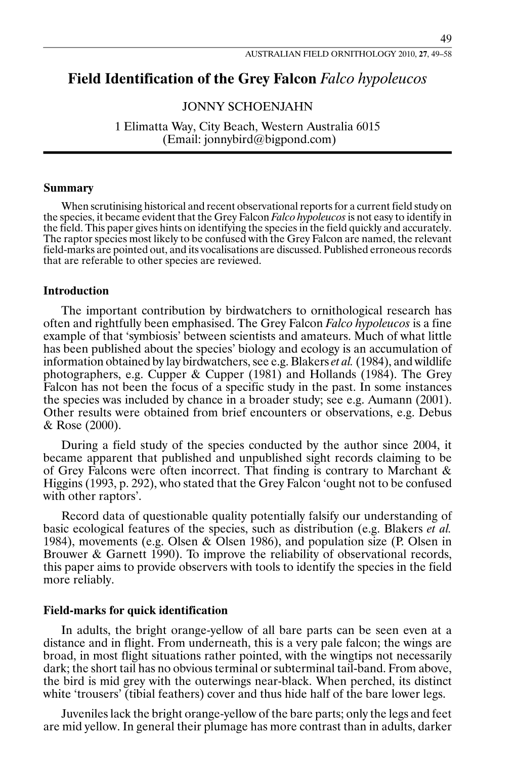 Field Identification of the Grey Falcon Falco Hypoleucos