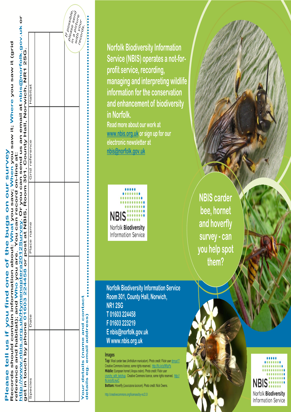 NBIS Carder Bee, Hornet and Hoverfly Survey