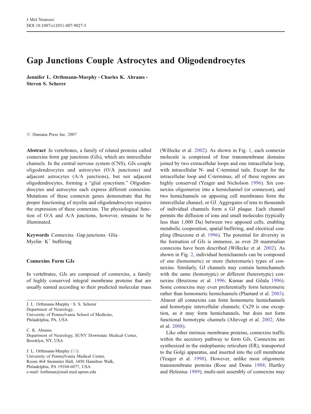 Gap Junctions Couple Astrocytes and Oligodendrocytes