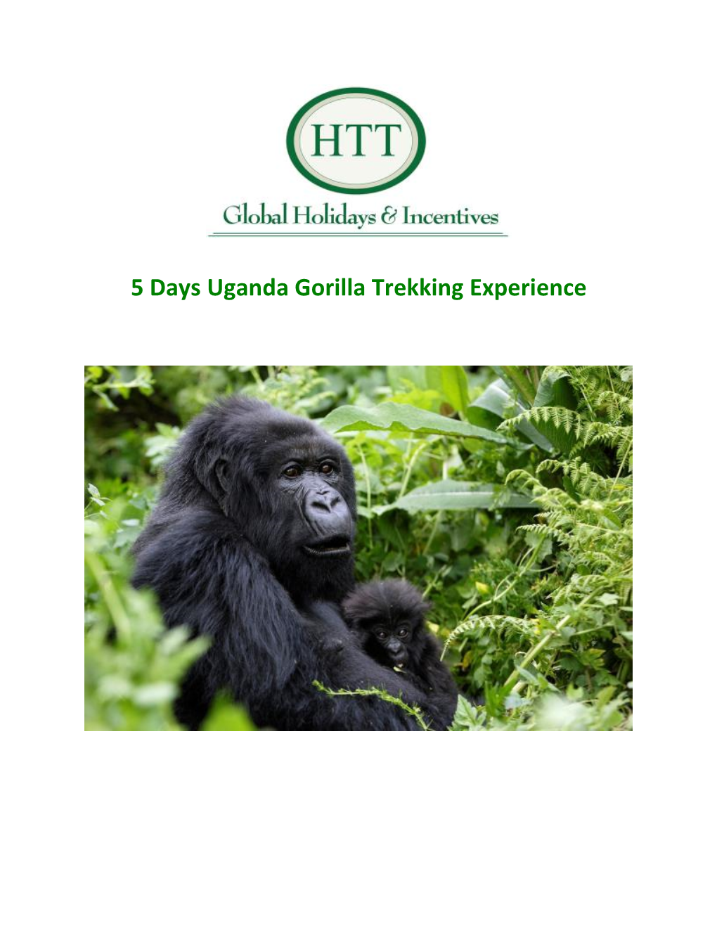 5 Days Uganda Gorilla Trekking Experience