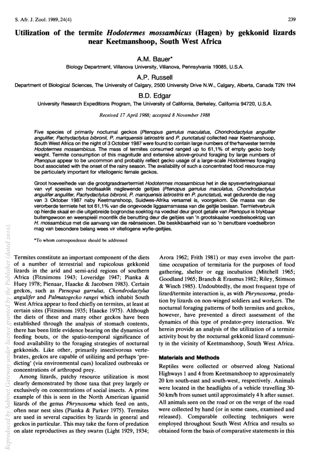 Utilization of the Termite Hodotermes Mossambicus (Hagen) by Gekkonid Lizards Near Keetmanshoop, South West Africa