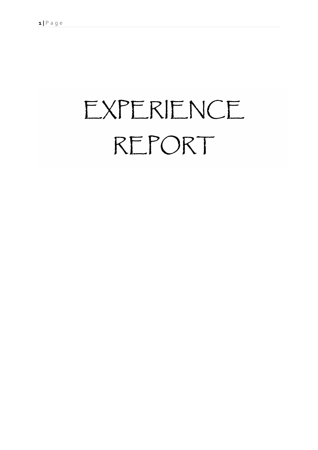 Experience Report Malaysiakuala Lumpur