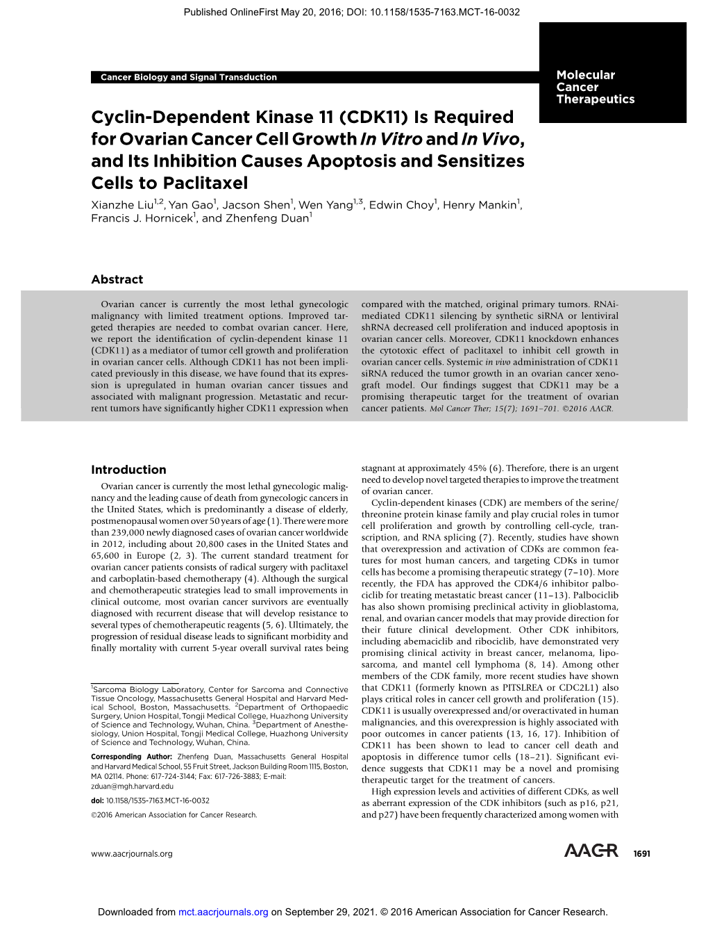 Cyclin-Dependent Kinase 11 (CDK11)