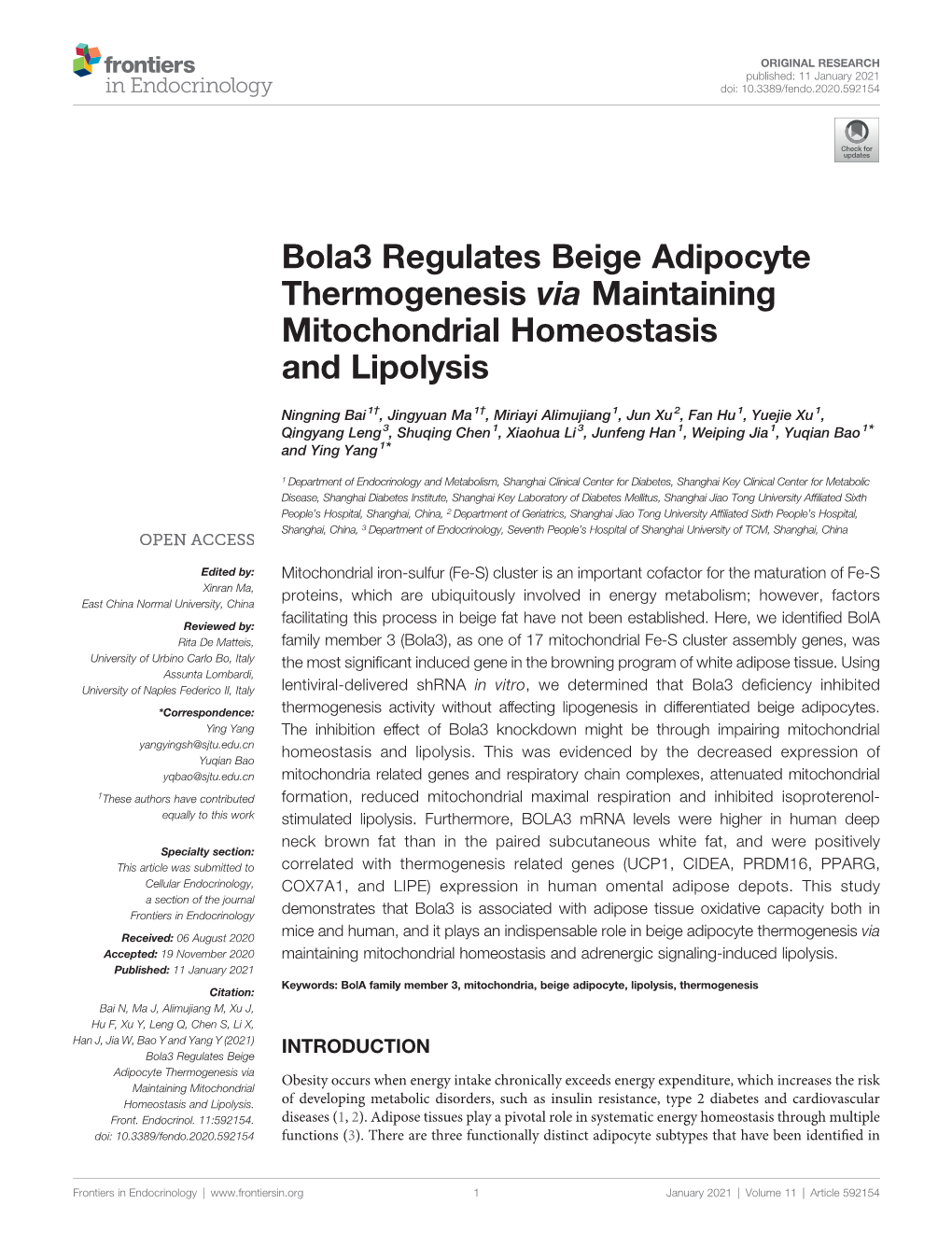 Bola3 Regulates Beige Adipocyte Thermogenesis Via Maintaining Mitochondrial Homeostasis and Lipolysis