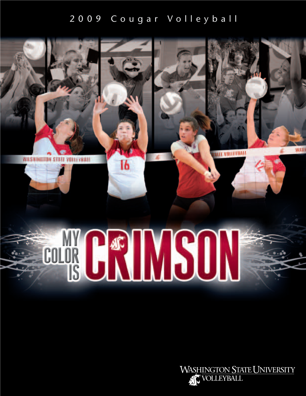 2009 Cougar Volleyball Confidence Consistency Defense Intensity Know the System Next Step Physical Size Cougar Volleyball 2009: Balanced