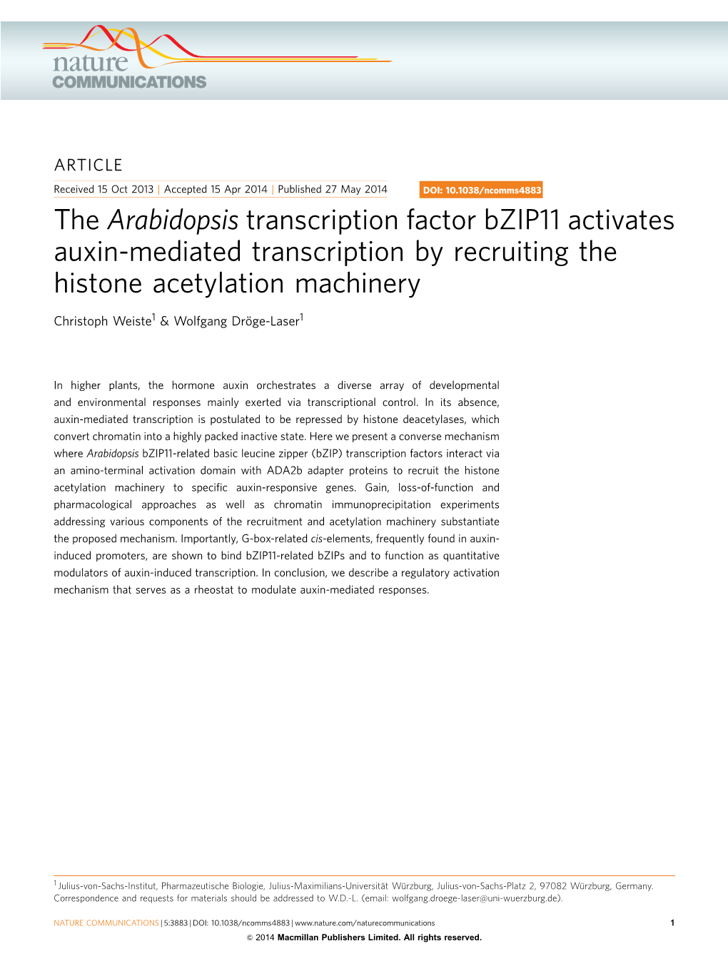 The Arabidopsis Transcription Factor Bzip11 Activates Auxin-Mediated Transcription by Recruiting the Histone Acetylation Machinery