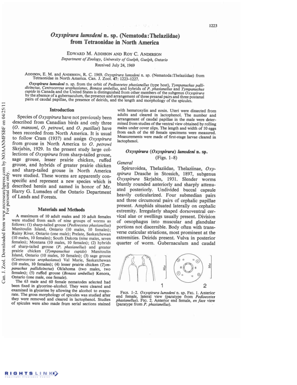 Oxyspirura Lumsdeni N. Sp. (Nematoda:Thelaziidae) From