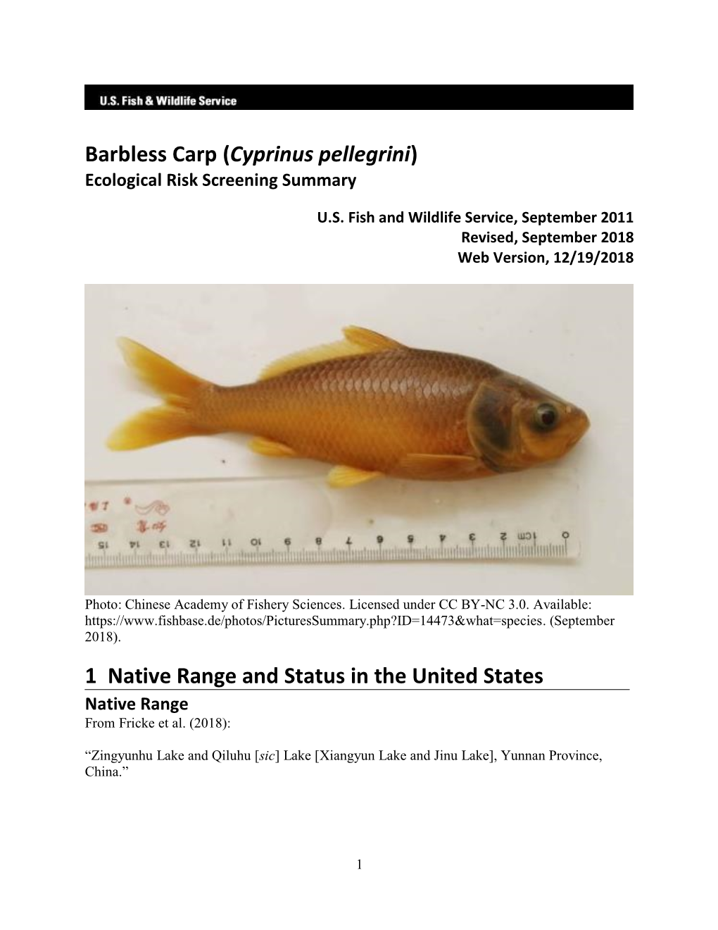 Cyprinus Pellegrini (Barbless Carp) Ecological Risk Screening Summary