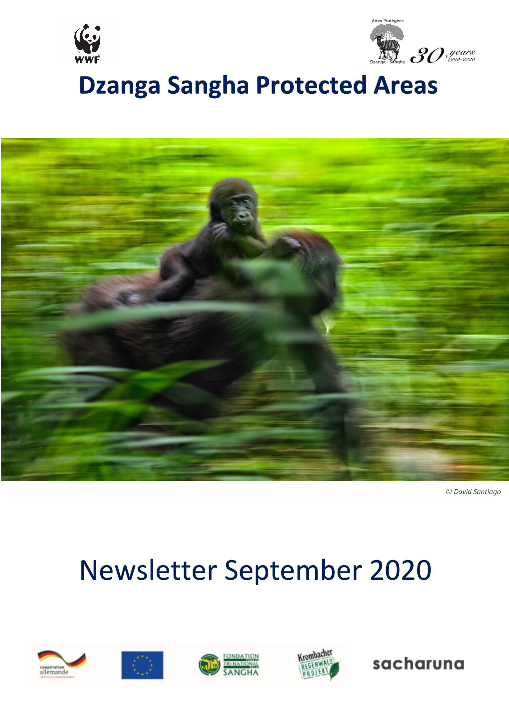 Newsletter September 2020