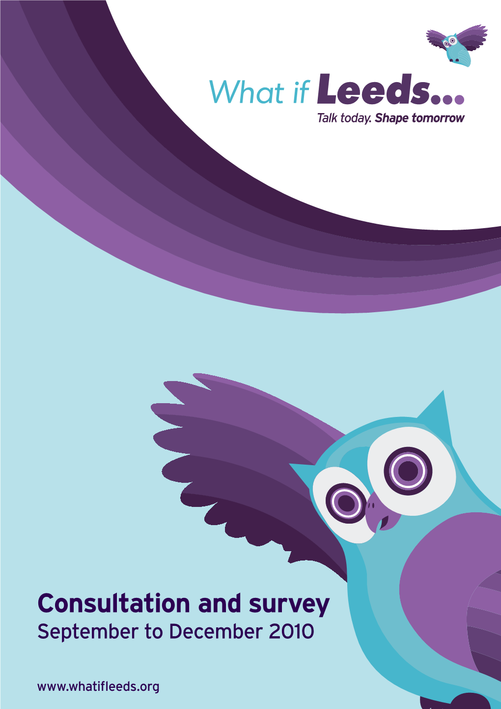 Consultation and Survey September to December 2010