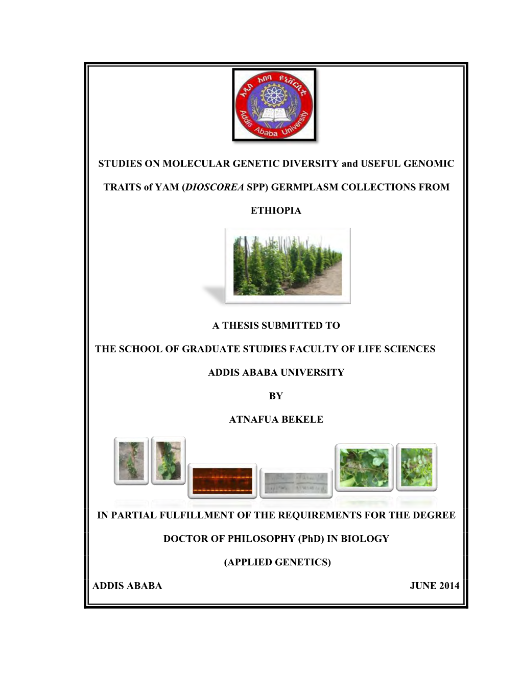 STUDIES on MOLECULAR GENETIC DIVERSITY and USEFUL GENOMIC TRAITS of YAM ( DIOSCOREA SPP) GERMPLASM COLLECTIONS from ETHIOPIA