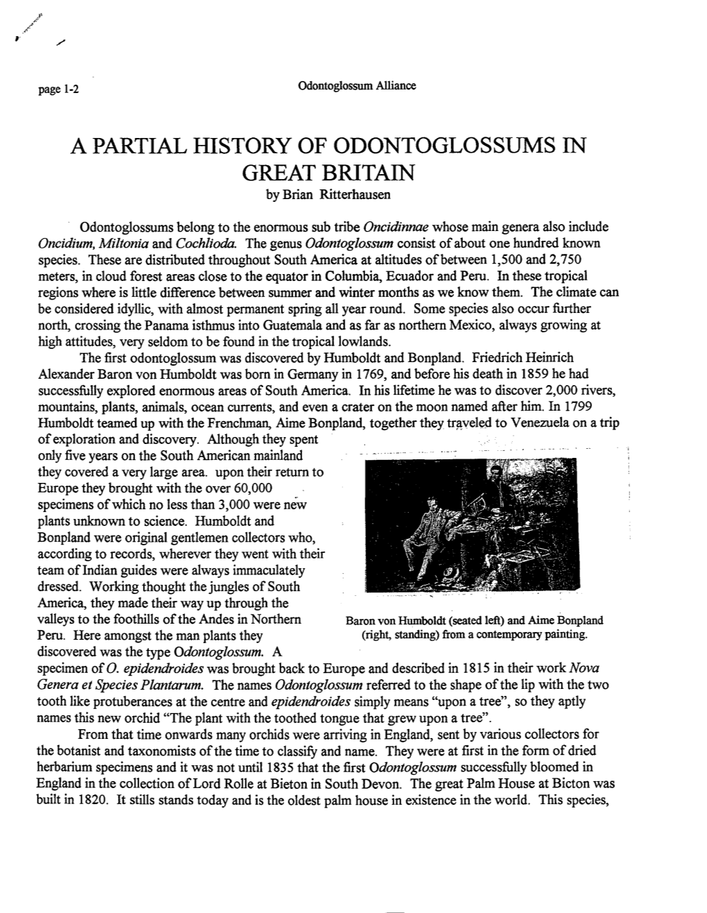 A PARTIAL HISTORY of ODONTOGLOSSUMS in GREAT BRITAIN by Brian Ritterhausen