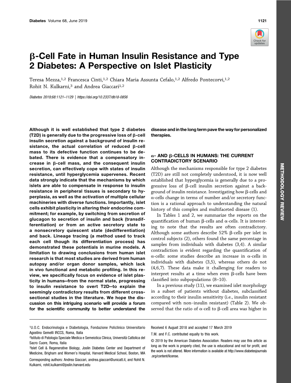 Β-Cell Fate in Human Insulin Resistance and Type 2 Diabetes: a Perspective on Islet Plasticity