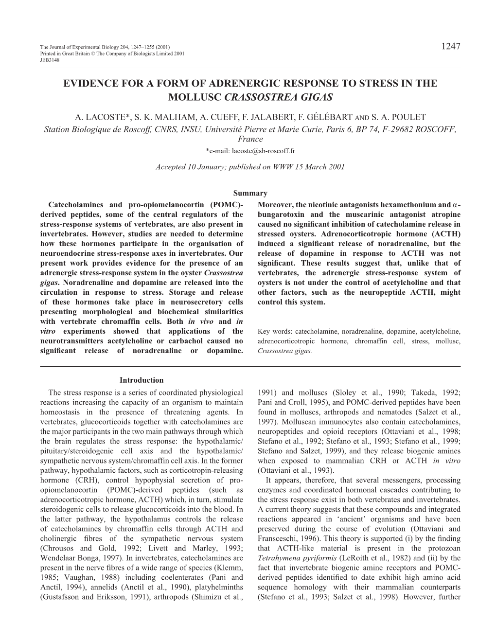 Adrenergic Responses to Stress of Crassostrea Gigas 1249