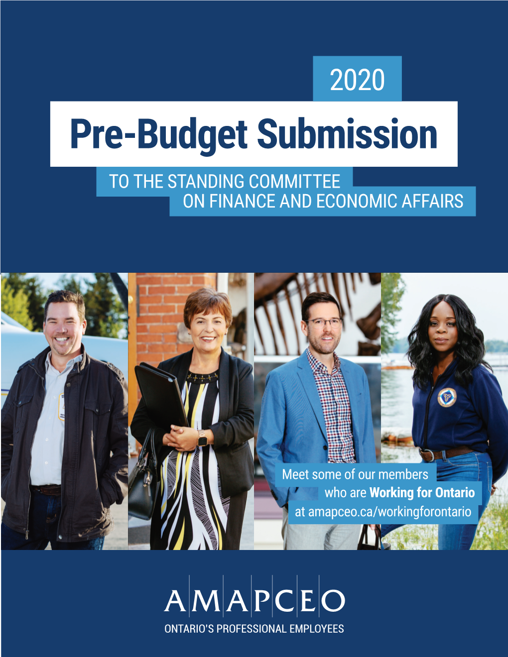 Pre-Budget Submission to the Standing Committee