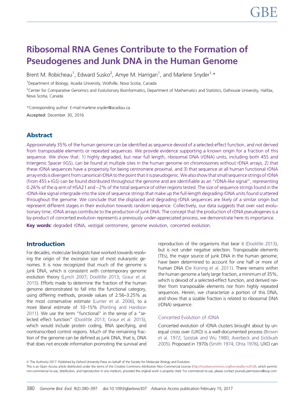 Ribosomal RNA Genes Contribute to the Formation of Pseudogenes and Junk DNA in the Human Genome