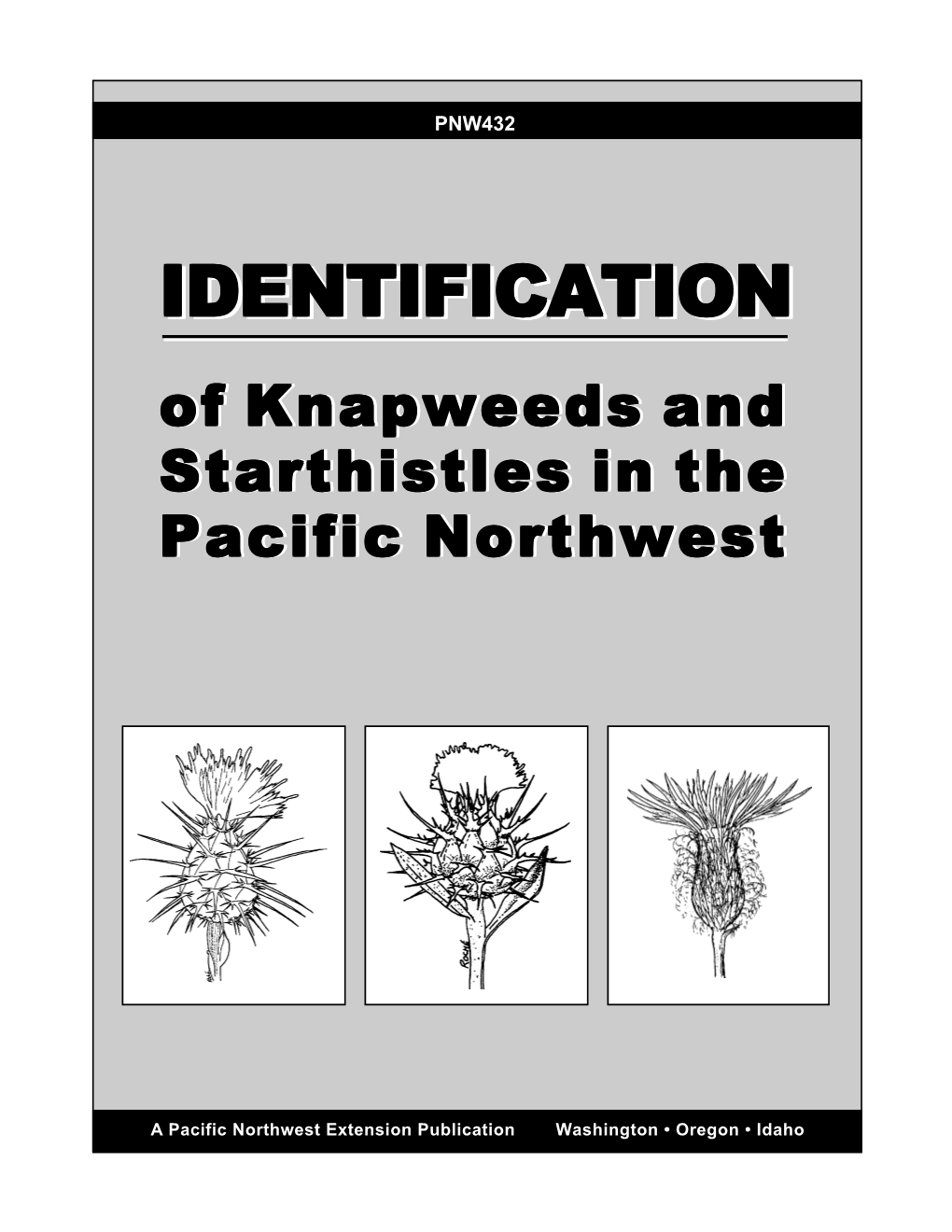 Identification of Knapweeds and Starthistles