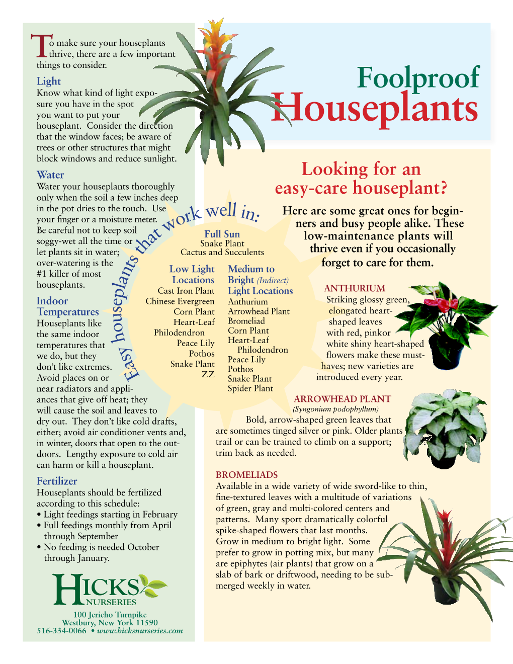 Foolproof Houseplants