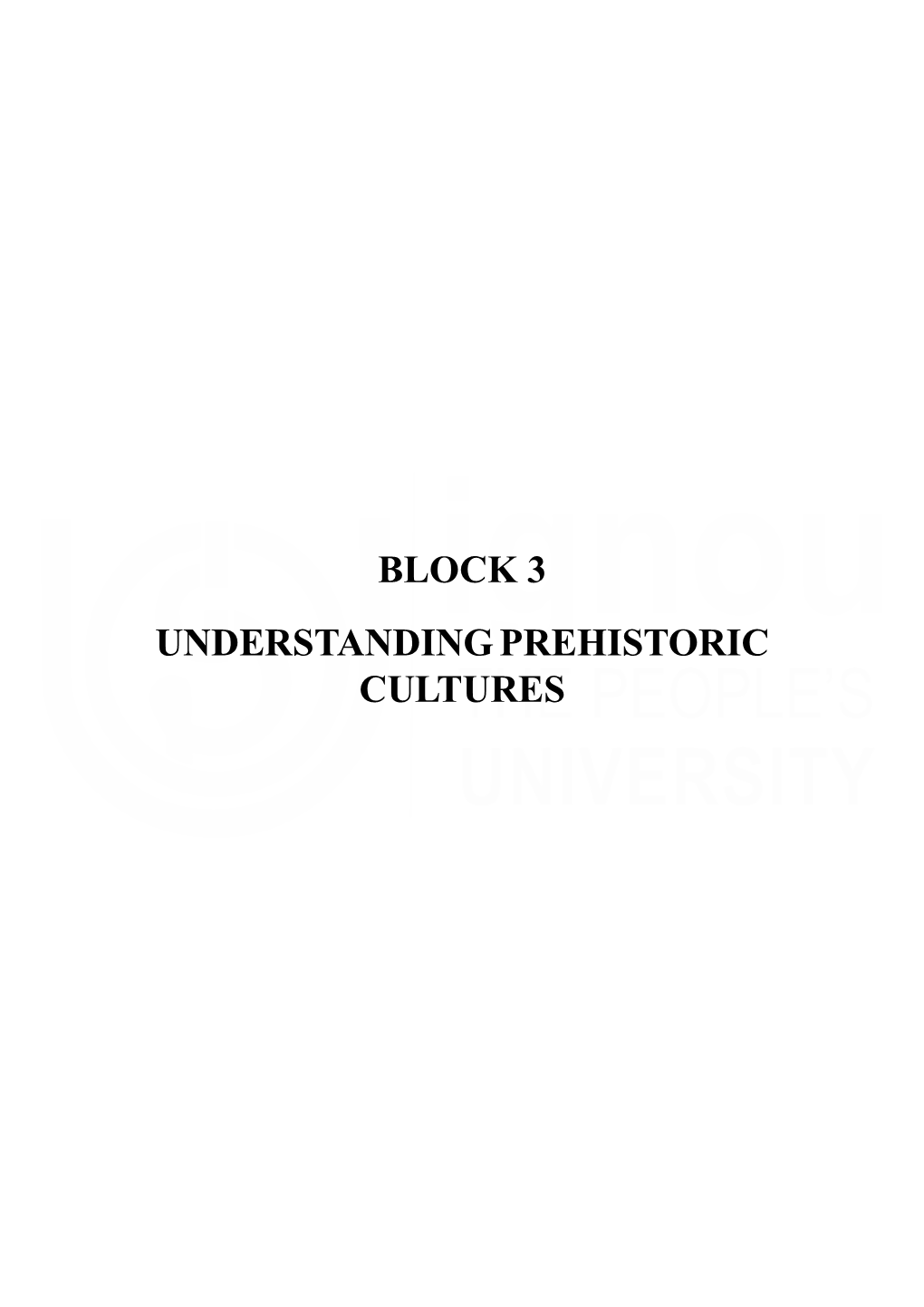 BLOCK 3 UNDERSTANDING PREHISTORIC CULTURES 90 Blank