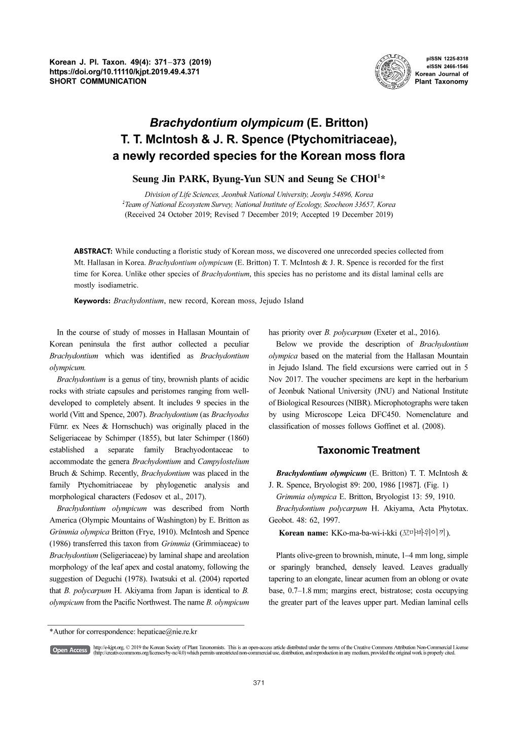 Brachydontium Olympicum (E