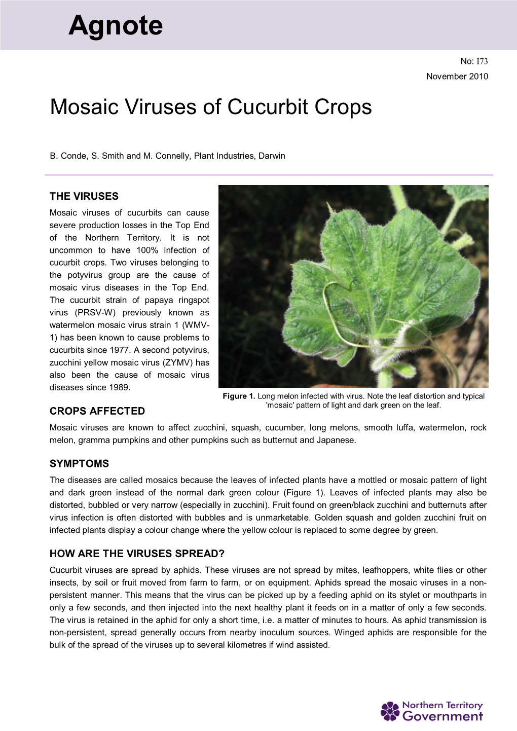 Mosaic Viruses of Cucurbit Crops