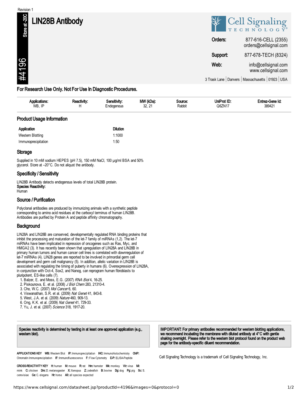 LIN28B Antibody A