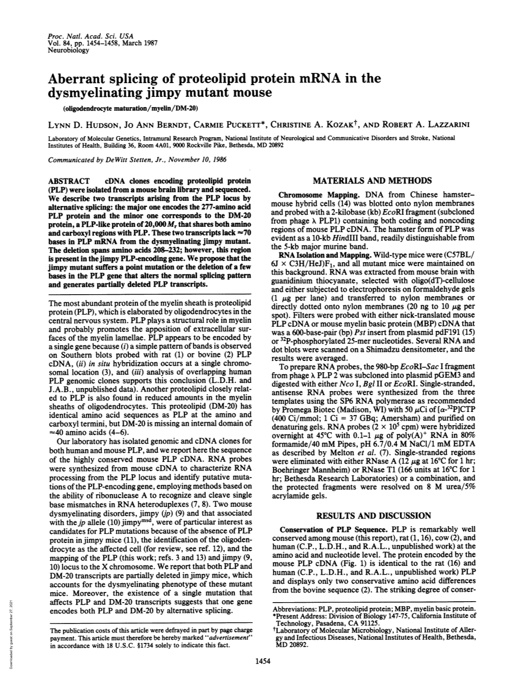 Dysmyelinating Jimpy Mutant Mouse (Oligodendrocyte Maturation/Myelin/DM-20) LYNN D