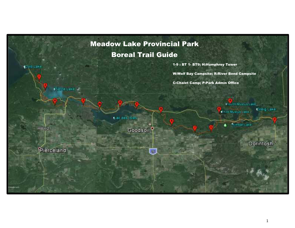 Meadow Lake Provincial Park Boreal Trail Guide