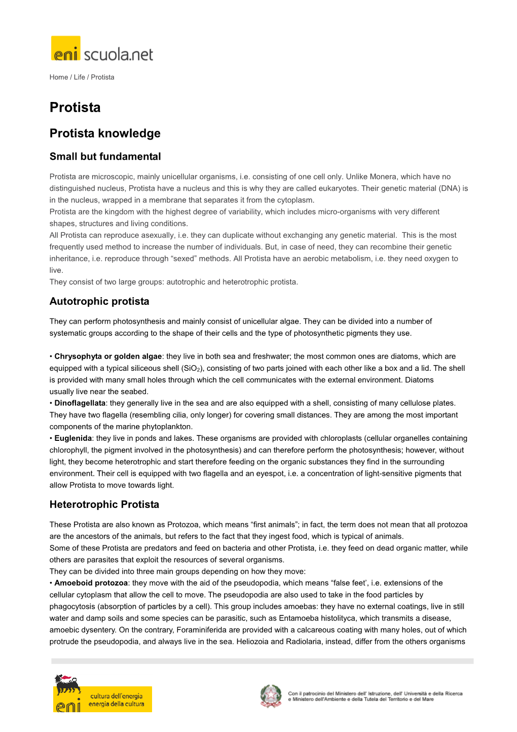 Protista Knowledge