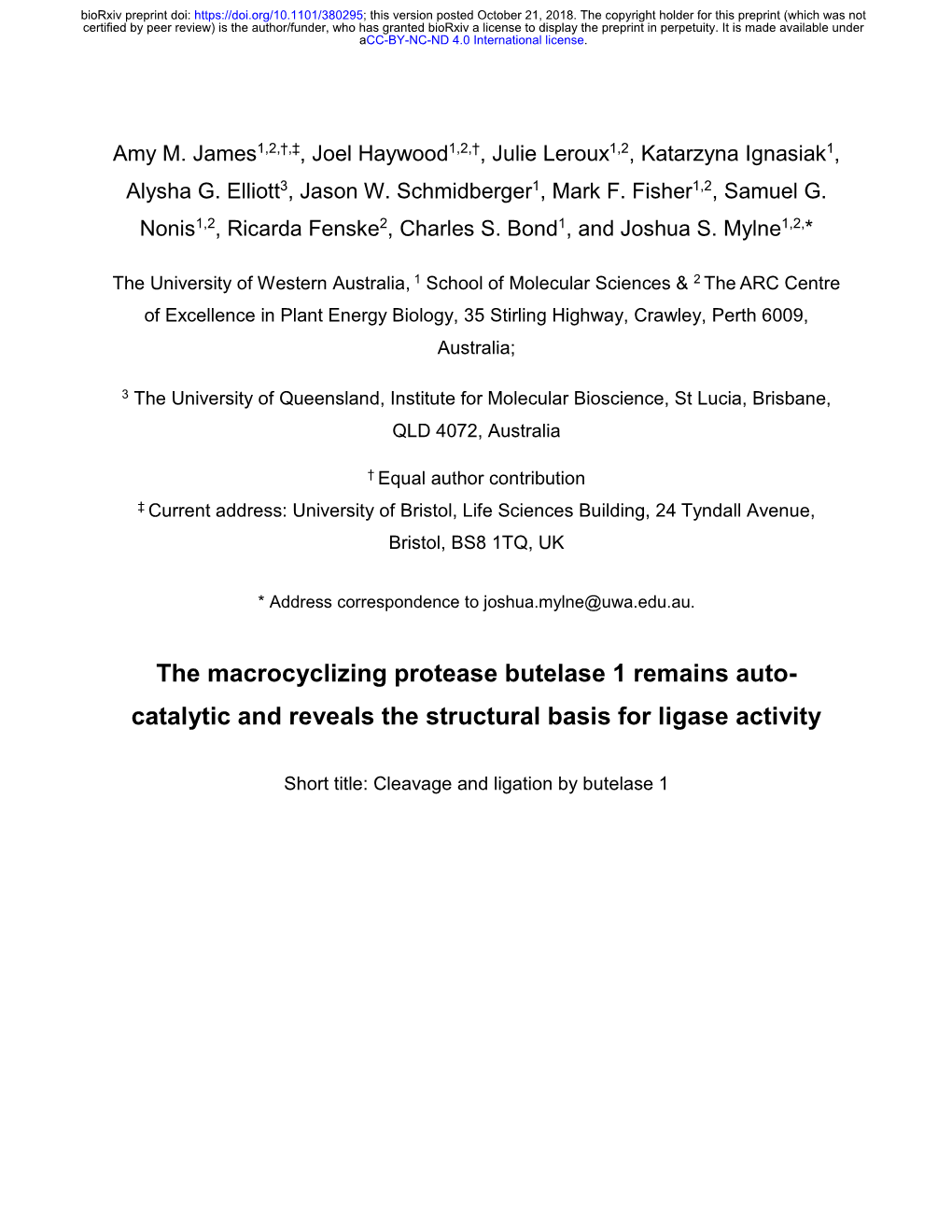 The Macrocyclizing Protease Butelase 1 Remains Auto-Catalytic and Reveals the Structural Basis for Ligase Activity