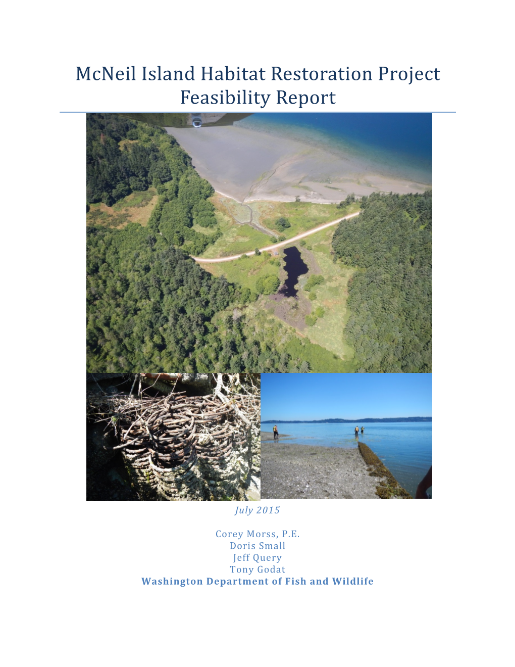 Mcneil Island Habitat Restoration Project Feasibility Report(Pdf)