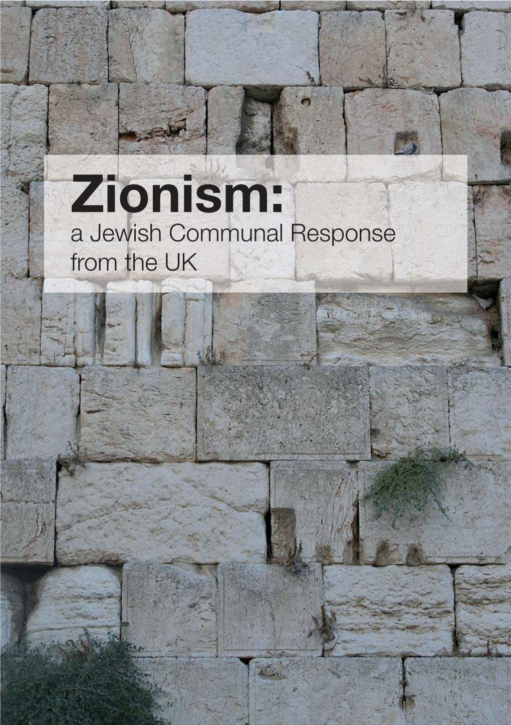 Zionism: a Jewish Communal Response from the UK Table of Contents