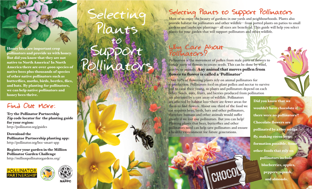 Selecting Plants Support Pollinators