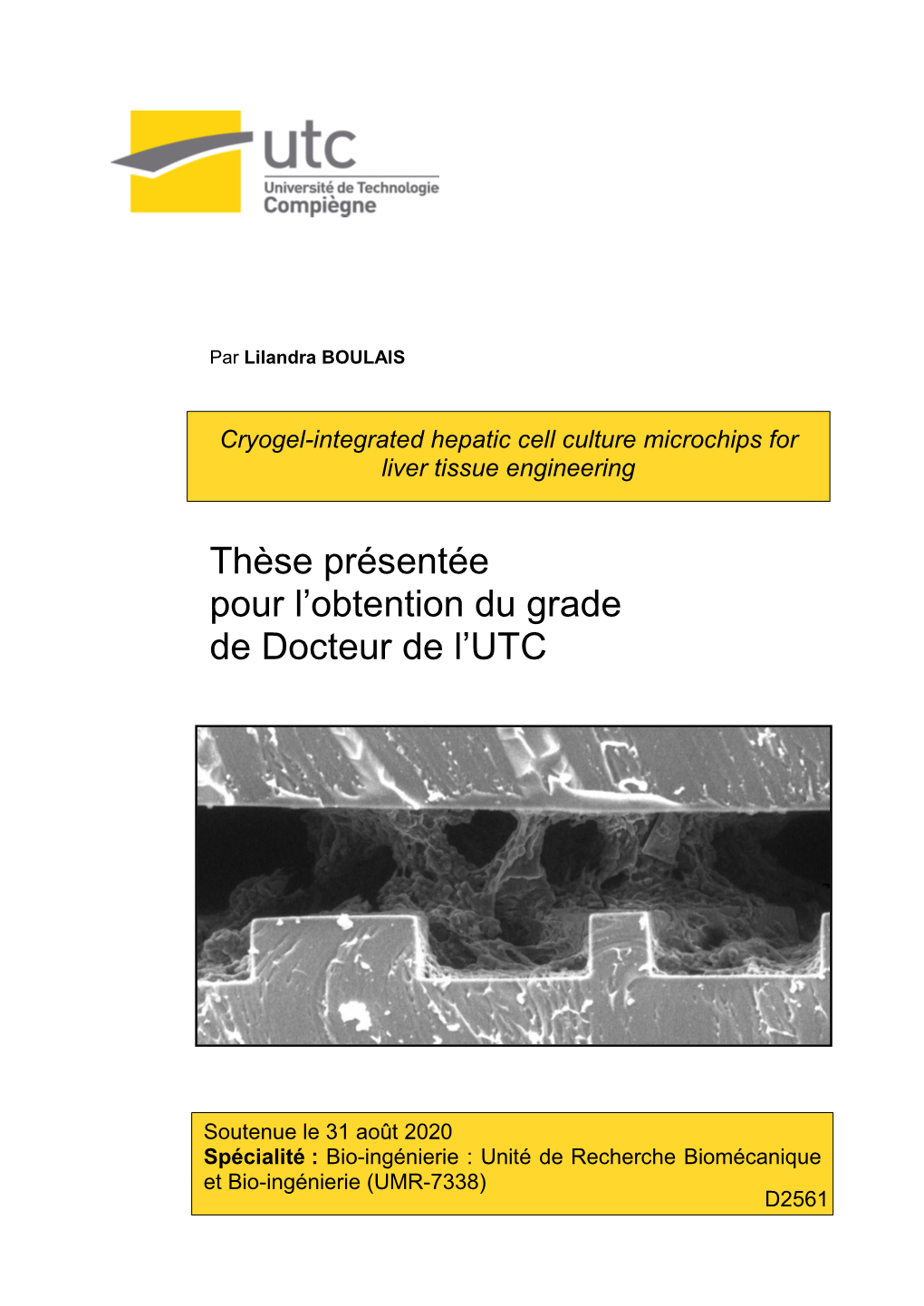 Cryogel-Integrated Hepatic Cell Culture Microchips for Liver Tissue Engineering