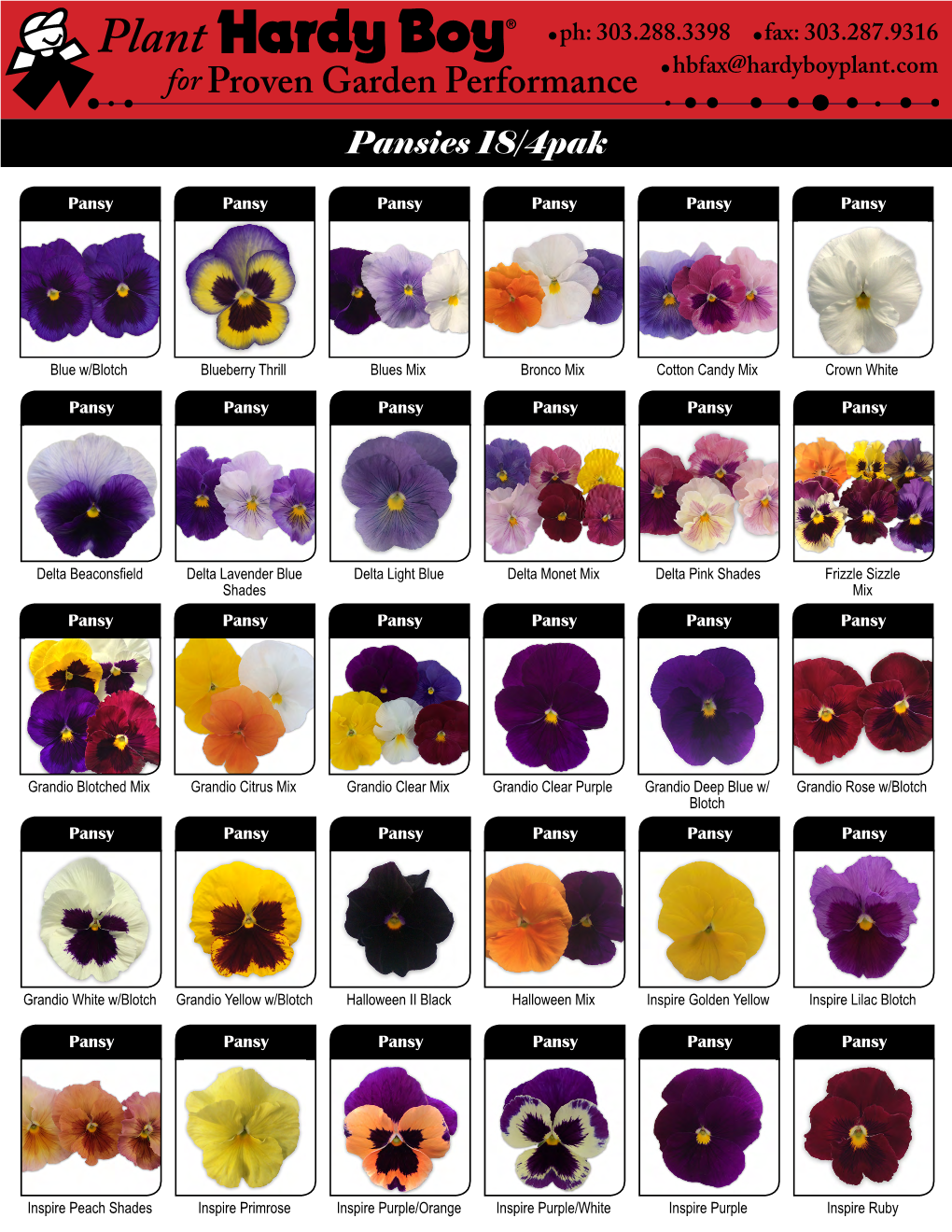 Pansies 18/4Pak