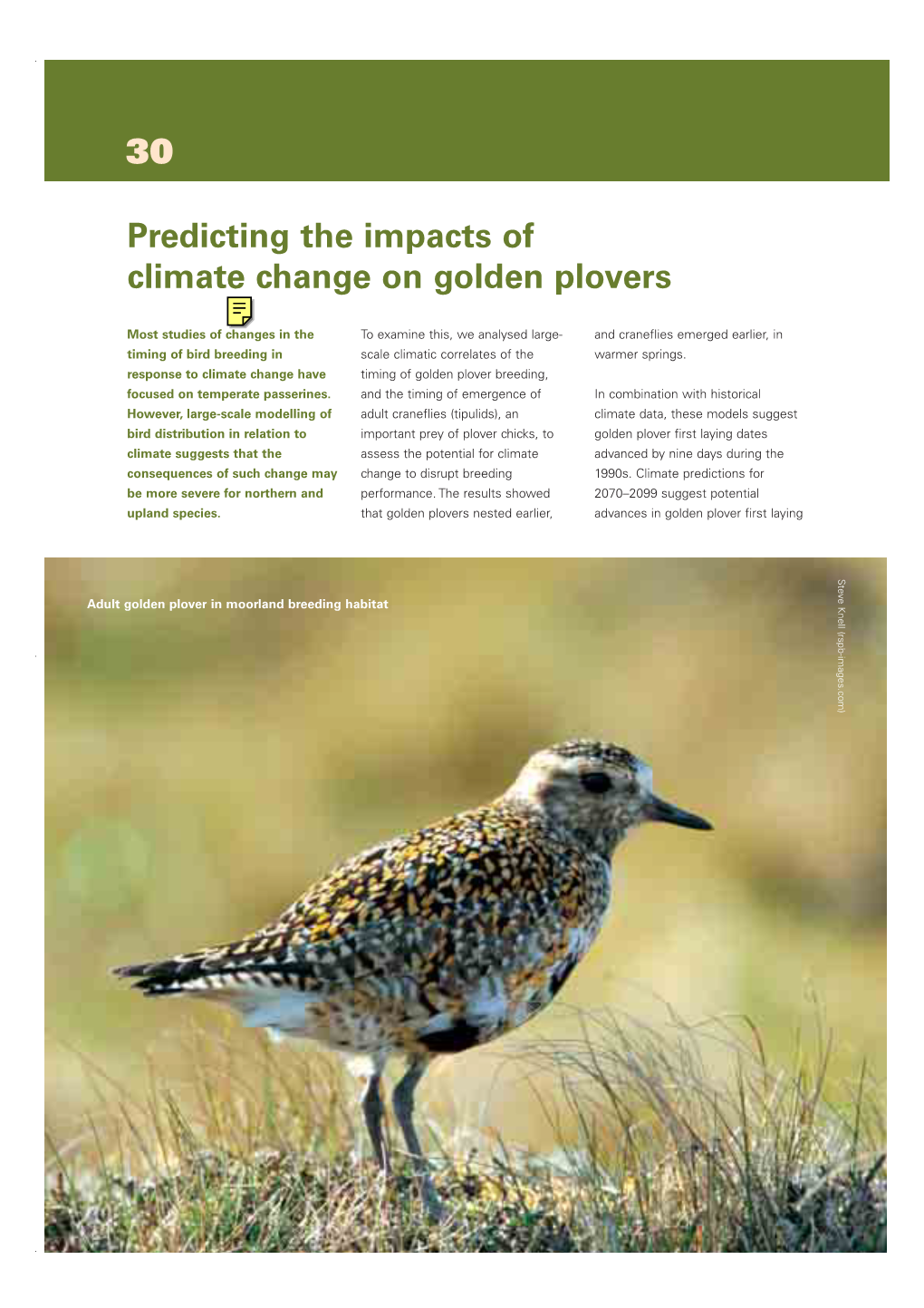 Predicting the Impacts of Climate Change on Golden Plovers
