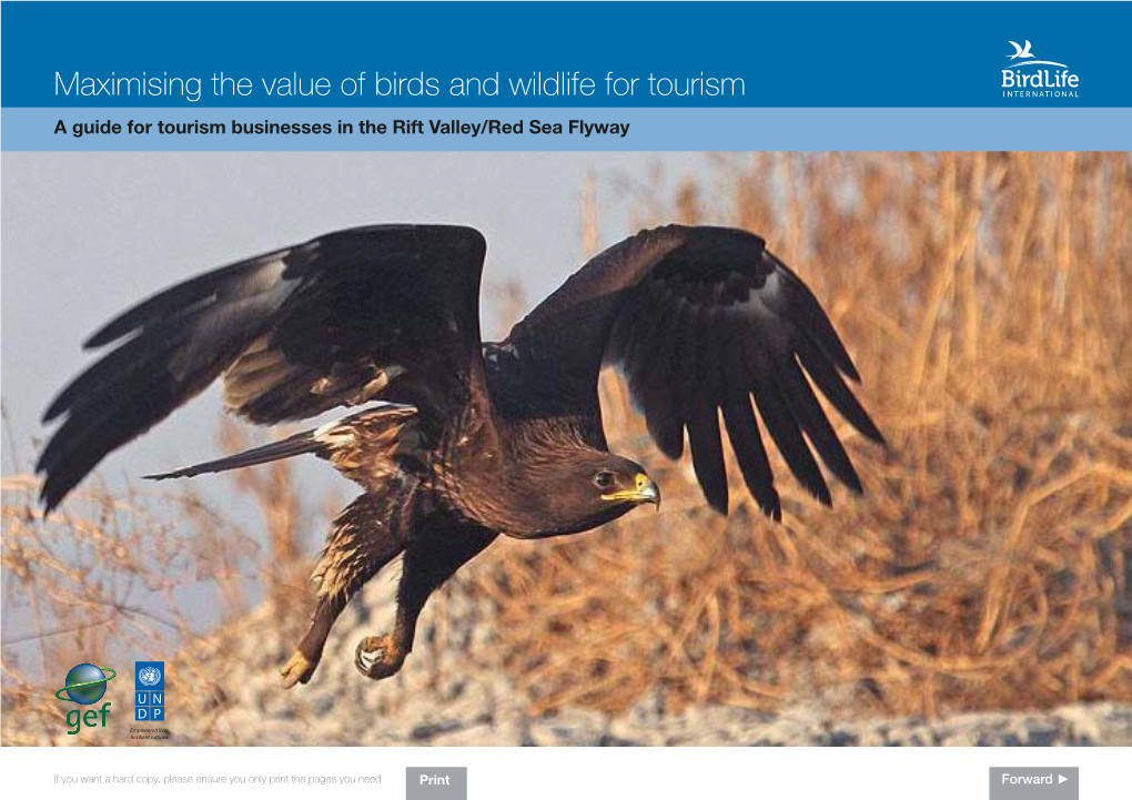 Maximising the Value of Birds and Wildlife for Tourism a Guide for Tourism Businesses in the Rift Valley/Red Sea Flyway