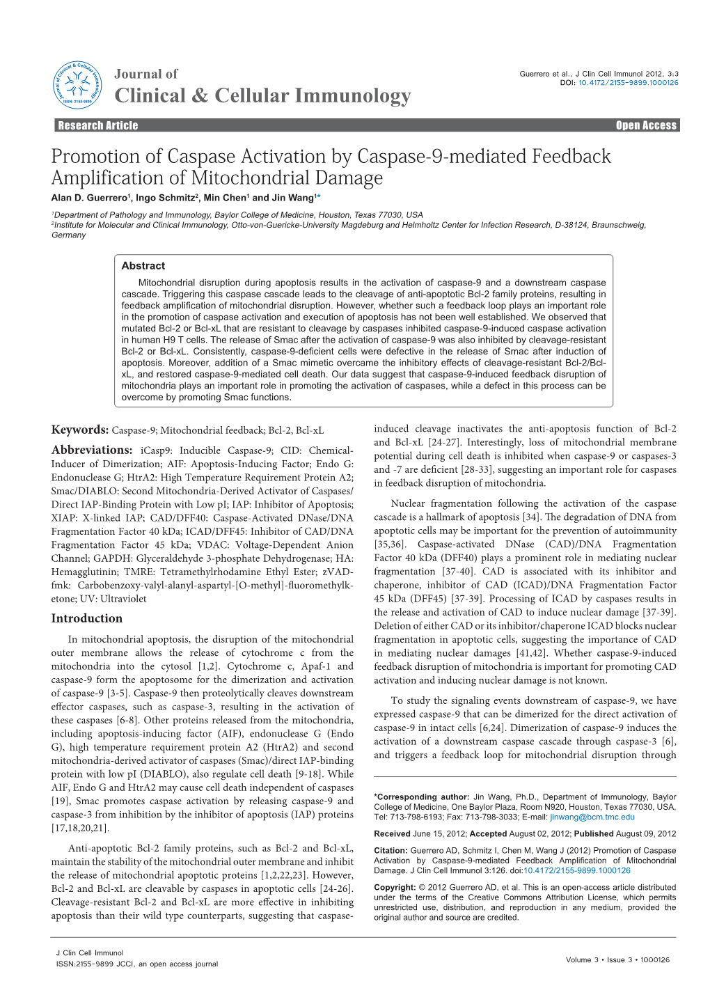 Promotion of Caspase Activation by Caspase-9-Mediated Feedback Amplification of Mitochondrial Damage Alan D